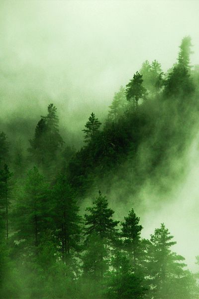 Industrial plastics: improving sustainability with carbon capture